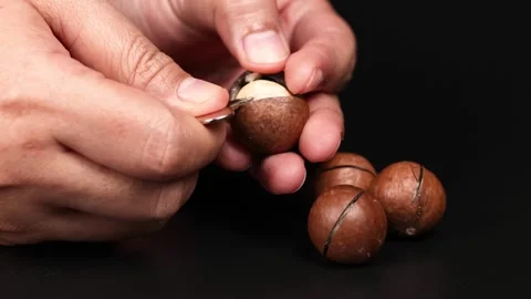 Cracking Open Macadamia Nuts Stock Footage 306269519