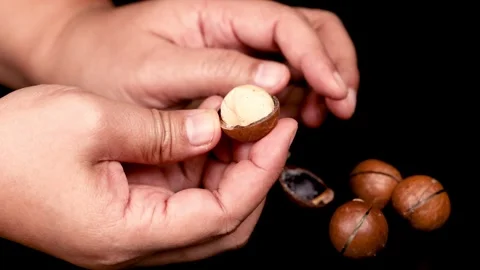 Cracking Open Macadamia Nuts Stock Footage 309278265