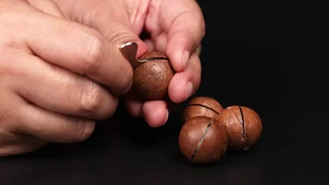 Cracking Open Macadamia Nuts Stock Footage 310164238