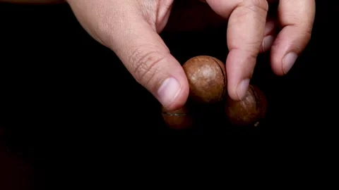 Cracking Open Macadamia Nuts Stock Footage 310225878