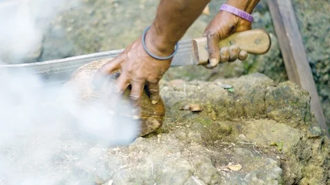 Cracking opening a Coconut 4K 29.97 Stock-Footage 100602353