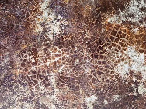 Cracking of the paint.on wall 스톡 사진