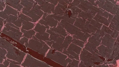 Cracking shows when paint dries time lapse. Pink and brown Stock Footage 102165814