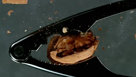 Cracking a Walnut Video stock 150265858