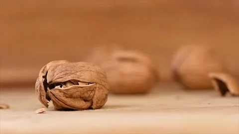 Cracking a walnut with hammer on wood background Stock Footage 141707986