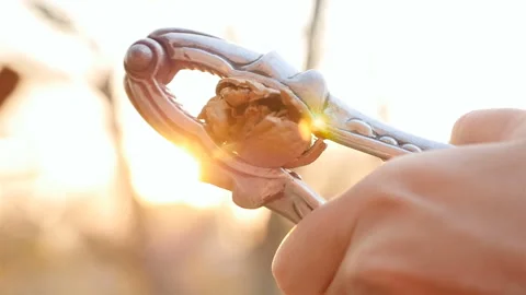 Cracking a walnut with a nutcracker. Close-up. Slow motion Stock Footage 168356563