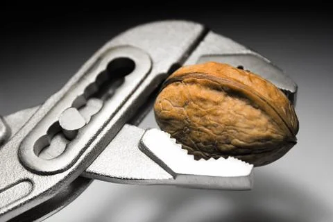 Cracking a Walnut Stockfoto's