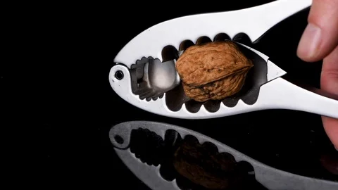 Cracking walnut using the nutcracker isolated on the black background with Stock Footage 123430839