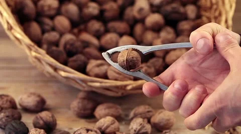 Cracking Walnuts Video stock 60676172
