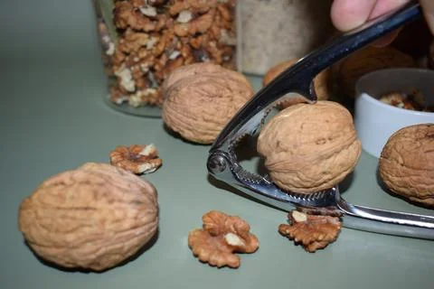 Cracking Walnuts with Nutcracker, Close-Up Food Preparation Stock Photos