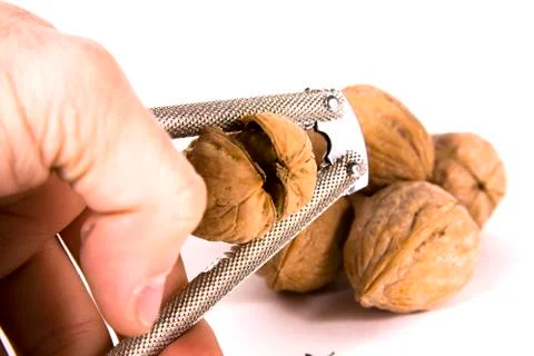 Cracking walnuts Stock Photos