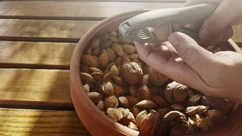 Cracking Walnuts with Tool Stock Footage 163503767