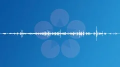 Crackle and Scratch Sound Effect