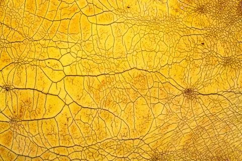 Crackle background texture Stock Photos