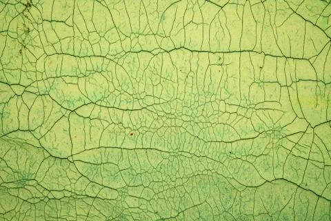 Crackle background texture Stock Photos