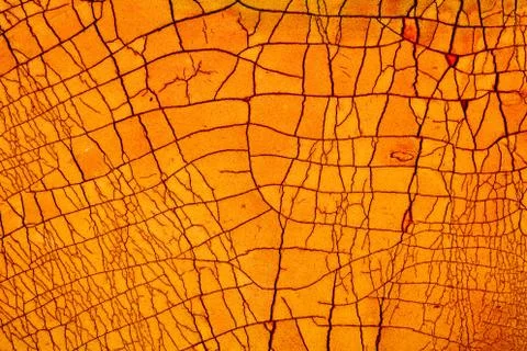 Crackle background texture Stock Photos