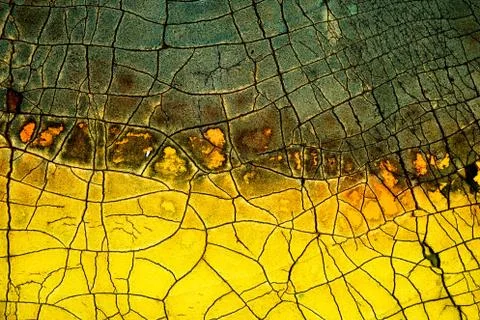 Crackle background texture Stock Photos