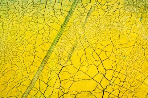 Crackle background texture Stock Photos