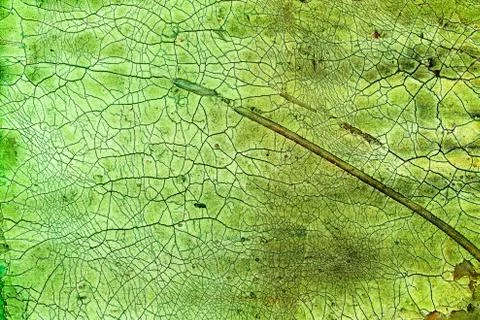 Crackle background texture Stock Photos