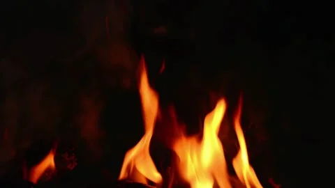 Crackling Bonfire Embers and Dancing Flames Stockbeeldmateriaal 344746575