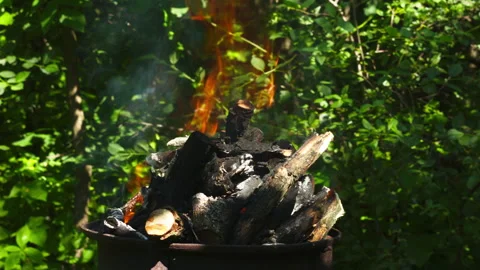 Crackling Campfire Burning in a Metal Fire Pit Surrounded by Green Nature Stock Footage 337424537