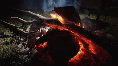 Crackling campfire logs burning with glowing embers at night Stock Footage 301402422