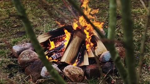 Crackling Campfire in the Wilderness - Flames Burning Bright Among River Stones Stock Footage 301742330