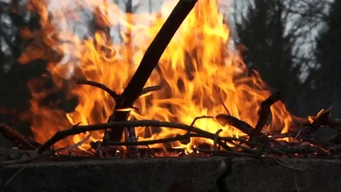 Crackling Fire Video stock 74862744
