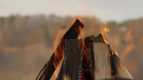 Crackling wood fire, casting orange and yellow flames Stock Footage 302476660