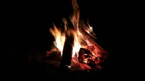 Crackling Wood 库存影片 230355417
