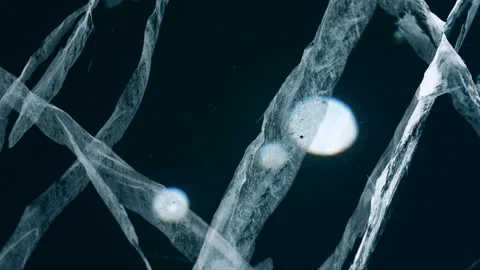 Cracks and bubbles in transparent blue ice of Baikal lake, dolly motion close up Stock Footage 182369390
