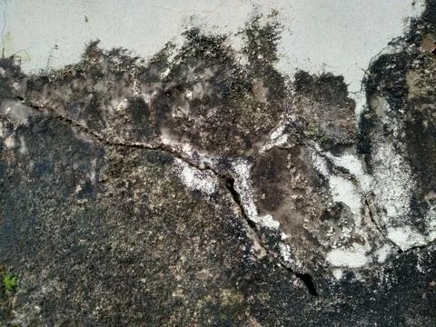 Cracks and dark spots on damp concrete wall surfaces due to mold and moss Stock Photos