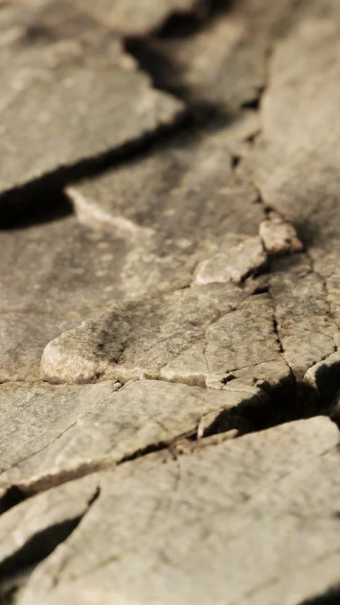 Cracks and textures visible on a stone surface in natural light during the day Stock Footage 338417533
