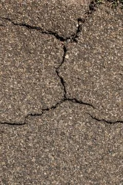 Cracks on the asphalt with growing grass Stock Photos