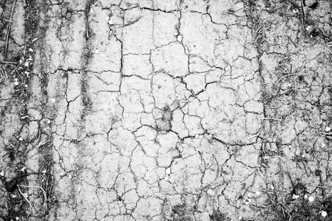 Cracks on a clay soil Stock Photos