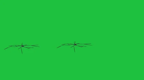 Cracks Developing on Green Background (Matte Included) Stock Footage 49783858