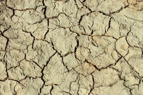 Cracks in the dried ground Stock Photos