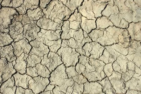 Cracks in the dried soil Foto stock