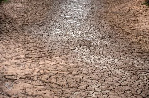 Cracks in the dry ground background Stock Photos