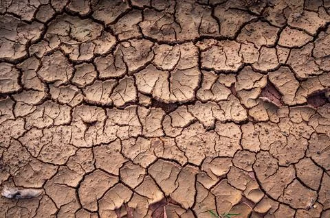 Cracks in the dry ground background Stock Photos