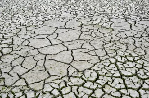 Cracks in the dry ground. Background, texture, ecology Stock Photos