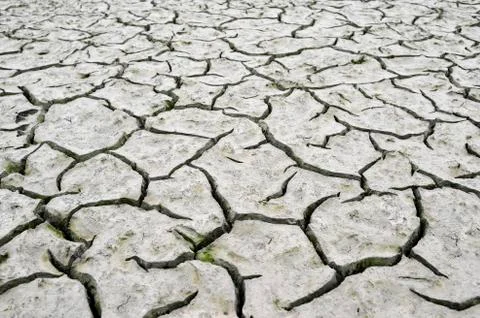 Cracks in the dry ground. Background, texture, ecology Stock Photos