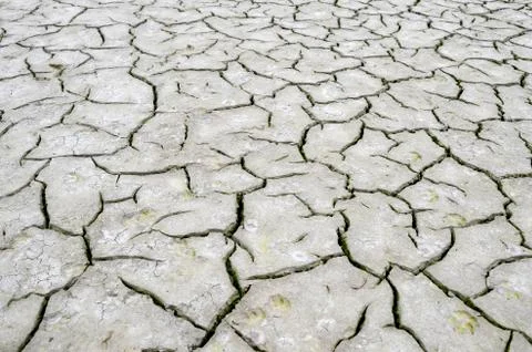 Cracks in the dry ground. Background, texture, ecology Foto stock