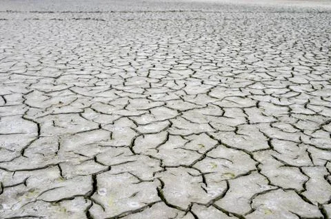 Cracks in the dry ground. Background, texture, ecology Stock Photos
