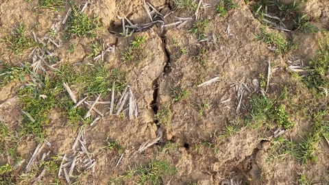 Cracks in the ground. Stock Footage 197521690