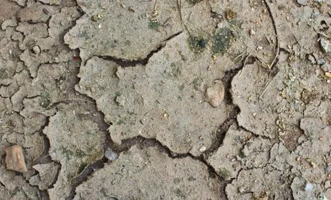 Cracks in the ground Foto stock