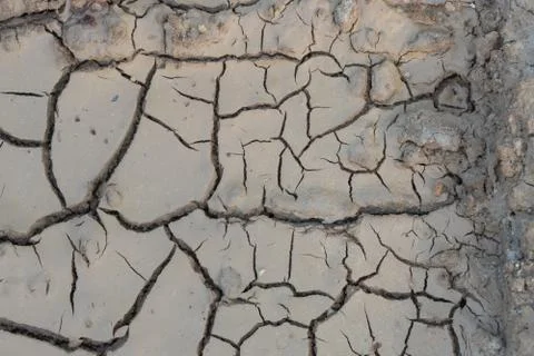 Cracks in ground, texture background, no water without rain 스톡 사진