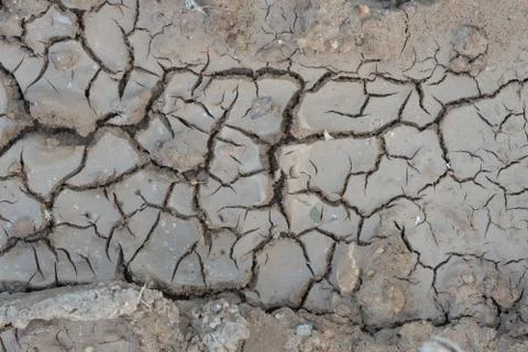 Cracks in ground, texture background, no water without rain Stock Photos
