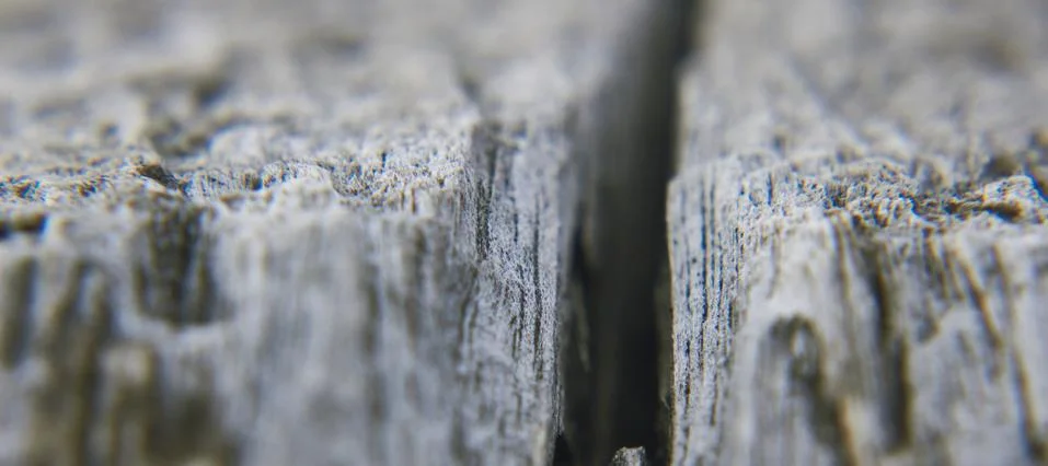 Cracks, lines, and patterns of the cute tree's surface Stock Photos