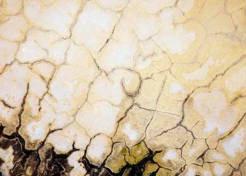 Cracks on a moldy wall Stock Photos